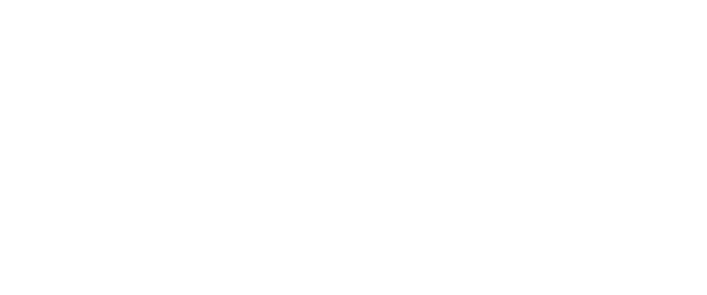Logo 55 Media Agenzia di Comunicazione a Ferrara